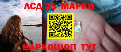 гидра Дубна