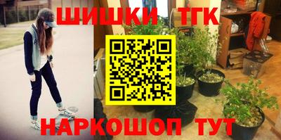 индика Ярославль