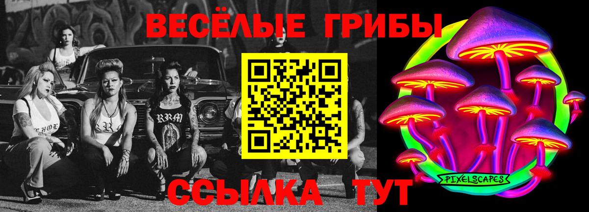 купить наркотик  Вход с VPN  Мелеуз  Галлюциногенные грибы Cubensis 